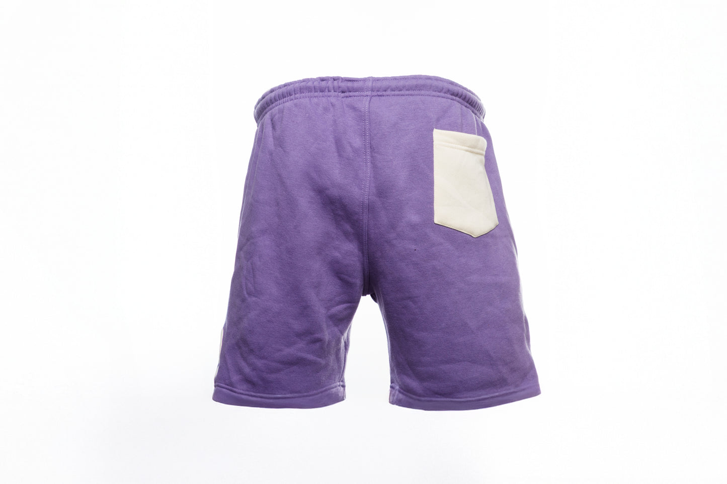 6ixty6ix Purple Shorts