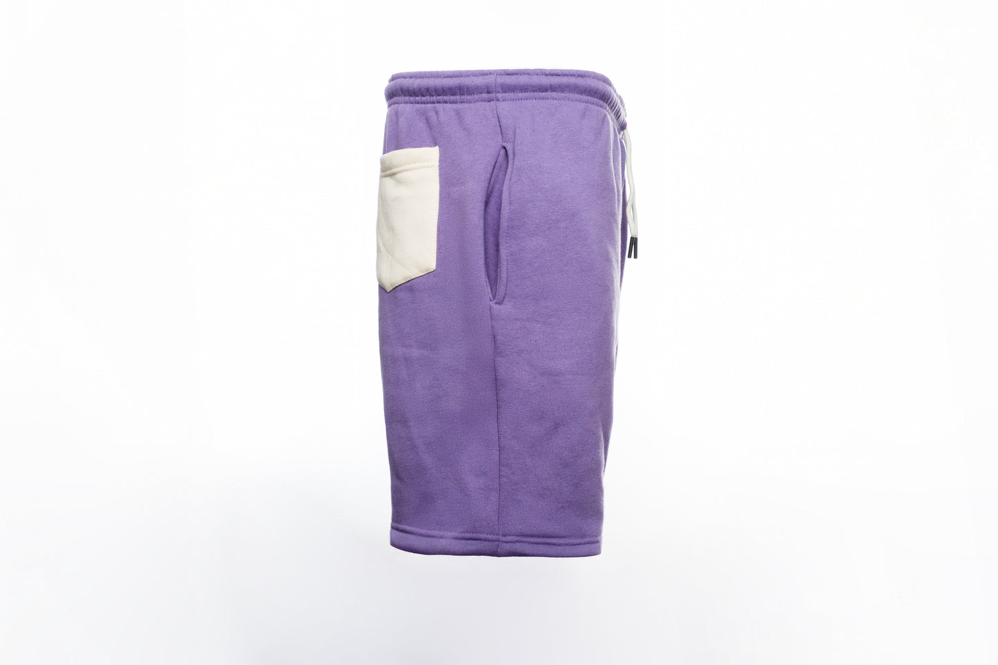 6ixty6ix Purple Shorts